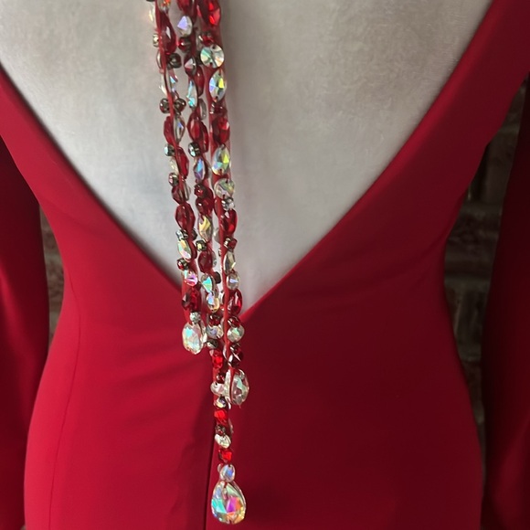 Laine Berry Custom Long Sleeve Gown - Picture 5 of 6